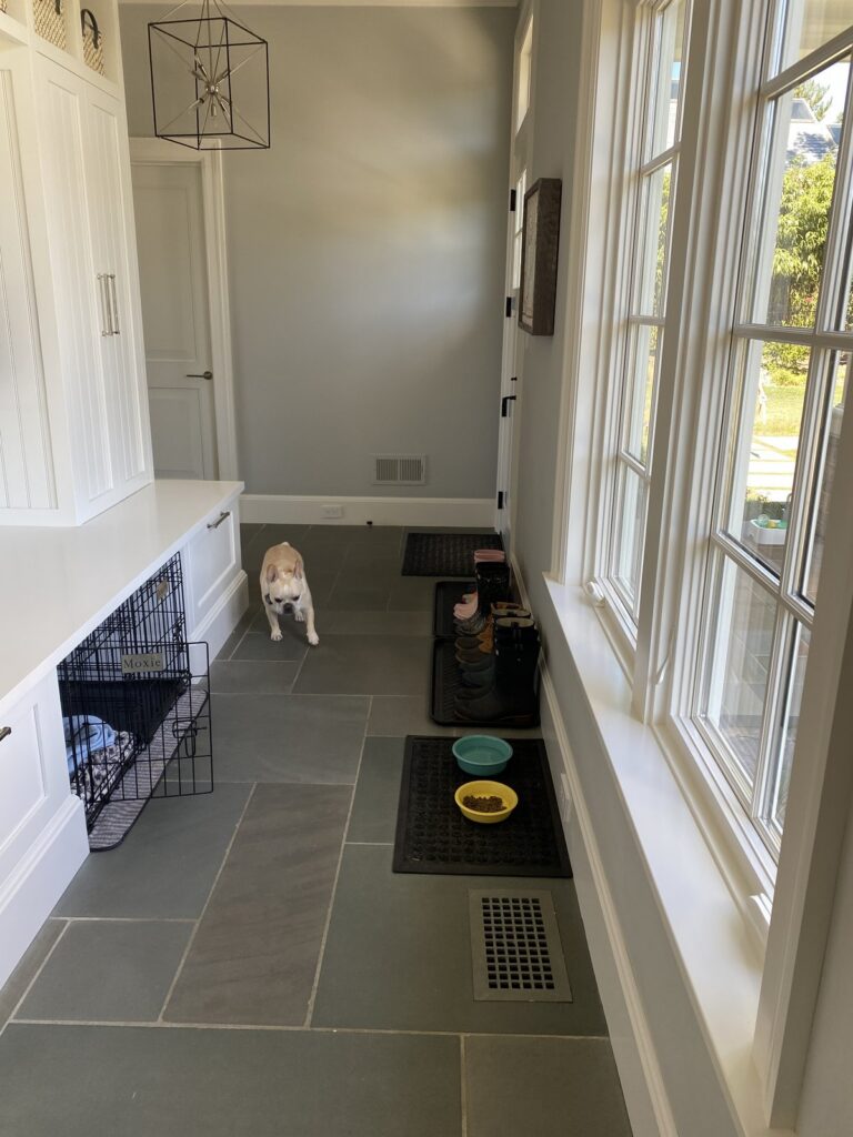 Organized mudroom with bench seating and a pet feeding station by the window